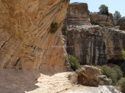 Abrigo del Charcón-Fuente Caputa